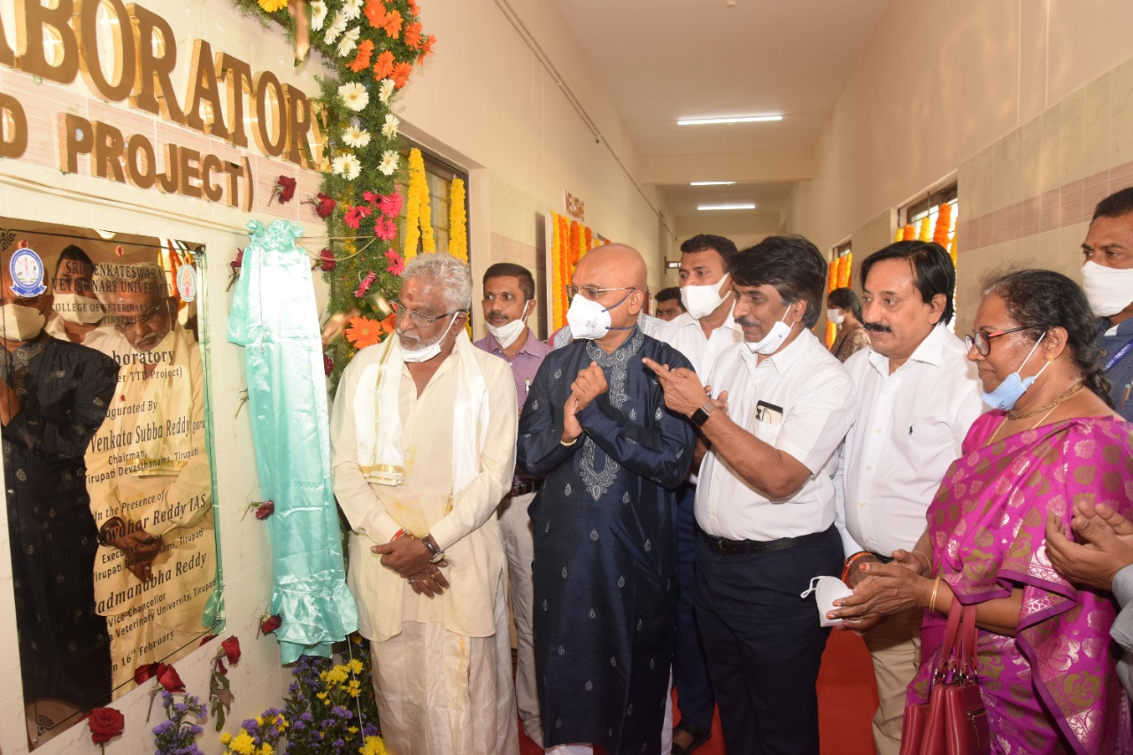 దేశవాళీ గోవుల సంతతి అభివృద్ధికి కృషి