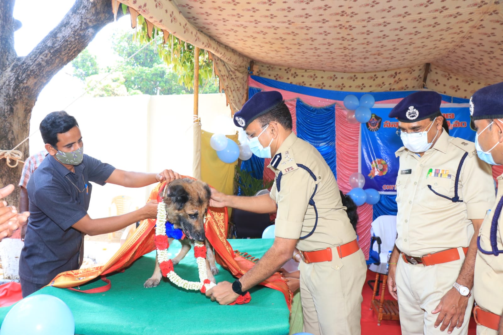  'తారా' సేవలు అమోఘం..!