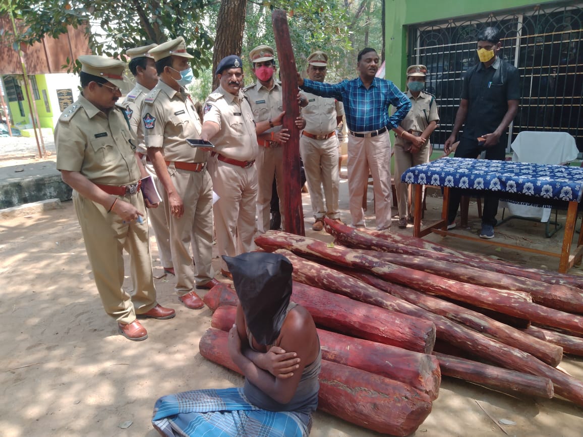 20 ఎర్రచందనం దుంగల సహా స్మగ్లర్‌ అరెస్ట్‌