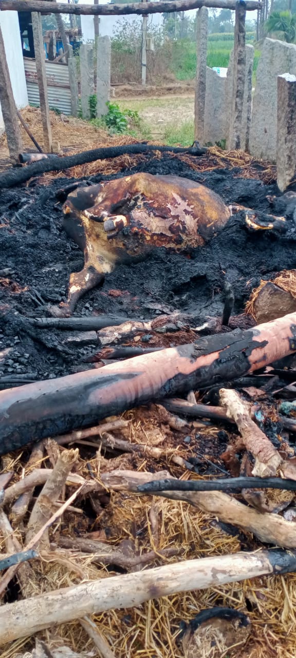 అగ్నికి ఆహుతైన గడ్డివాము