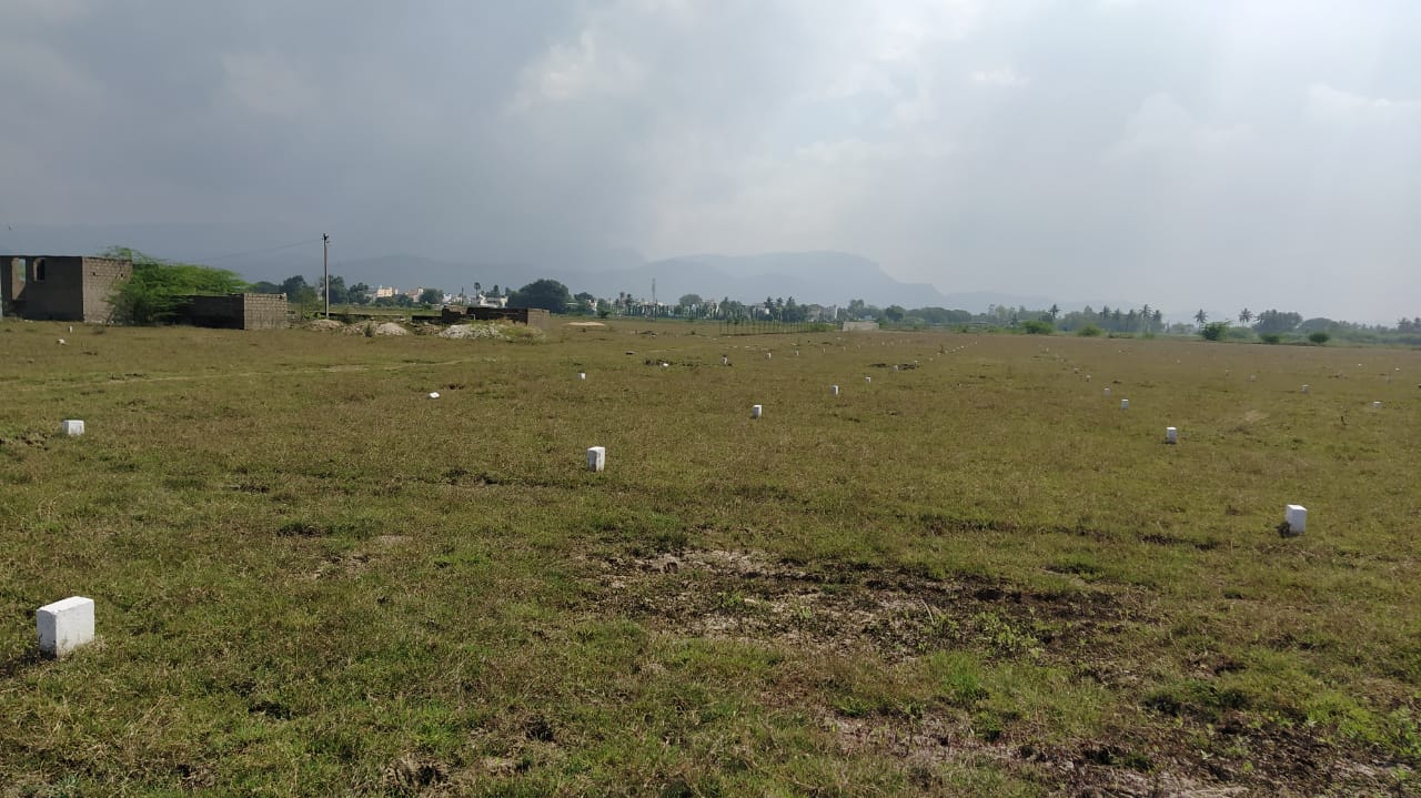 అక్రమ లేఔట్లకు చెక్‌