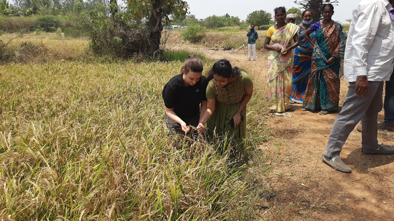 అన్నదాతలకు అండగా ఉంటాం