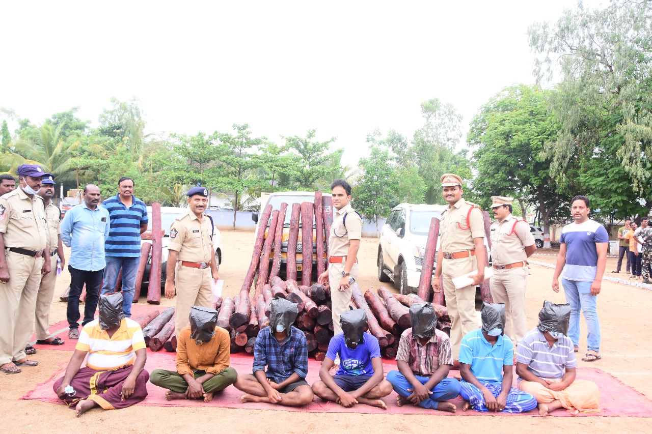 నిందితులను, ఎర్రచందనంను మీడియా ఎదుట చూపుతున్న ఎస్పీ రిశాంత్‌ రెడ్డి