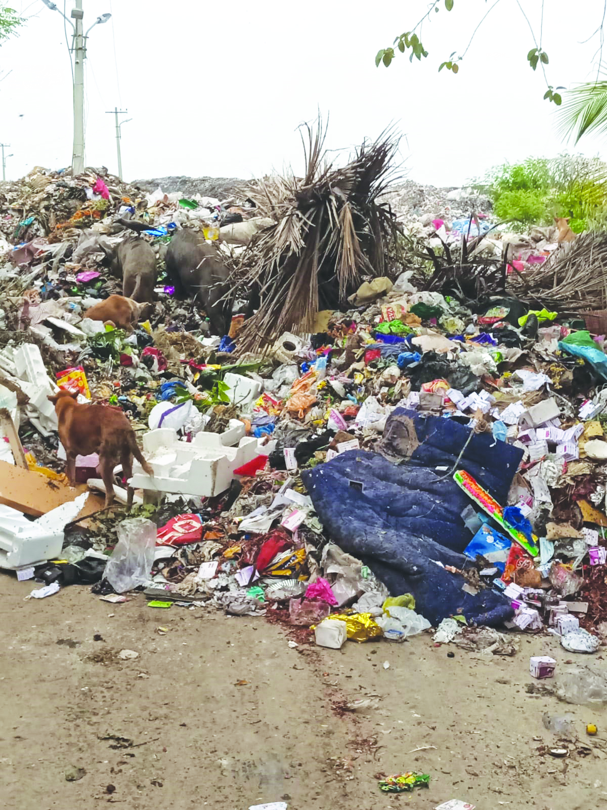 ఆవాసాల మధ్య ఉన్న డపింగ్‌యార్డు