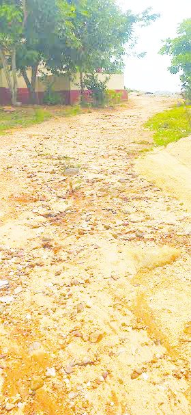 గులకరాళ్ళతో నడవడానికి వీలులేకుండా ఉన్న పాఠశాల దారి