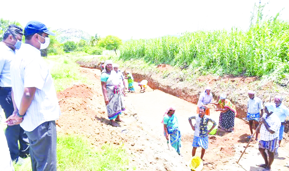 ఉపాధిహామీ పనులు పరిశీలిస్తున్న జిల్లా కలెక్టర్‌