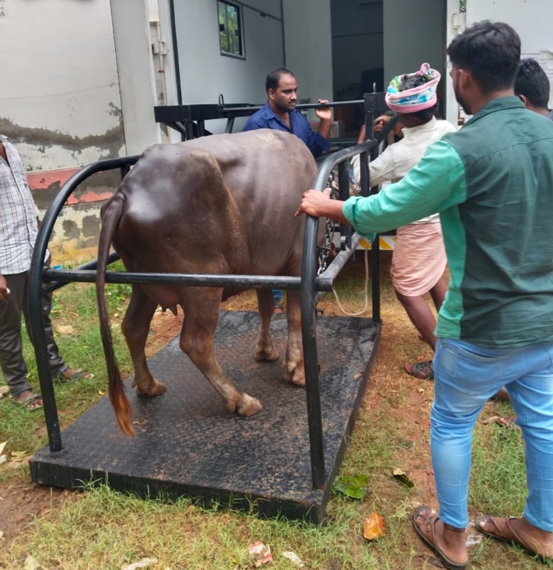 డాక్టర్‌ వైఎస్‌ఆర్‌ పశు సంచార వైద్యసేవల వాహనాలు