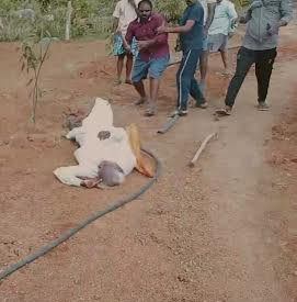 మురగయ్యపై దాడి చేస్తున్న రౌడీలు