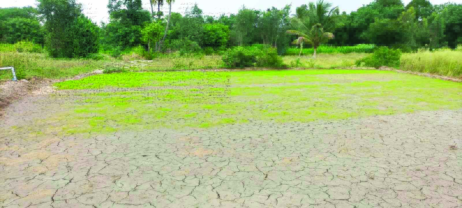 ముందుకు సాగని ఖరీఫ్‌