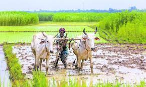 దుక్కిదున్నుతున్న రైతన్న