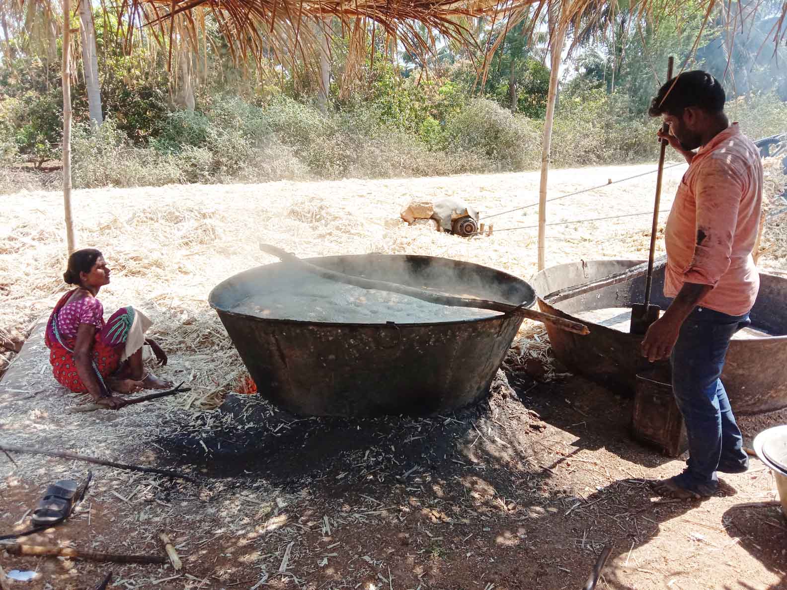 గానుగ ద్వారా బెల్లం తయారు చేస్తున్న రైతులు