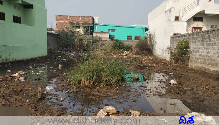 ఖాళీ స్థలాల్లో వర్షపు నీటి నిల్వలు