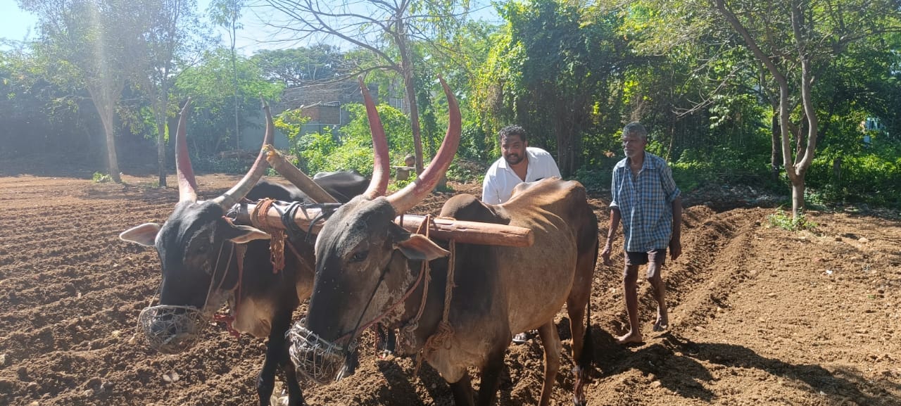 దుక్కి దున్నుతున్న హెల్త్‌ ఆఫీసర్‌ అనిల్‌కుమార్‌