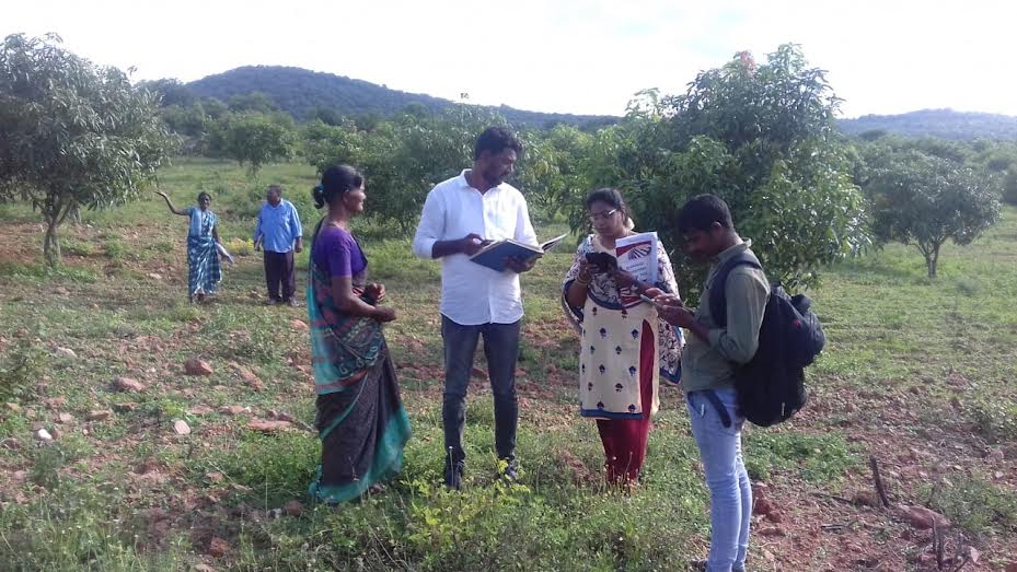 రైతు పొలంలో సర్వే చేస్తున్న రెవెన్యూ అధికారుల బృందం