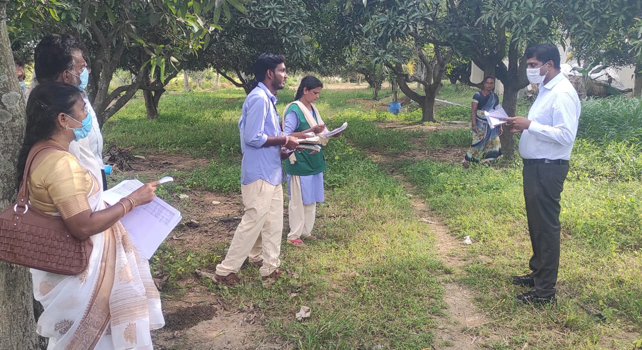 పంటనష్టాన్ని పరిశీలిస్తున్న కలెక్టర్‌ హరినారాయణన్‌