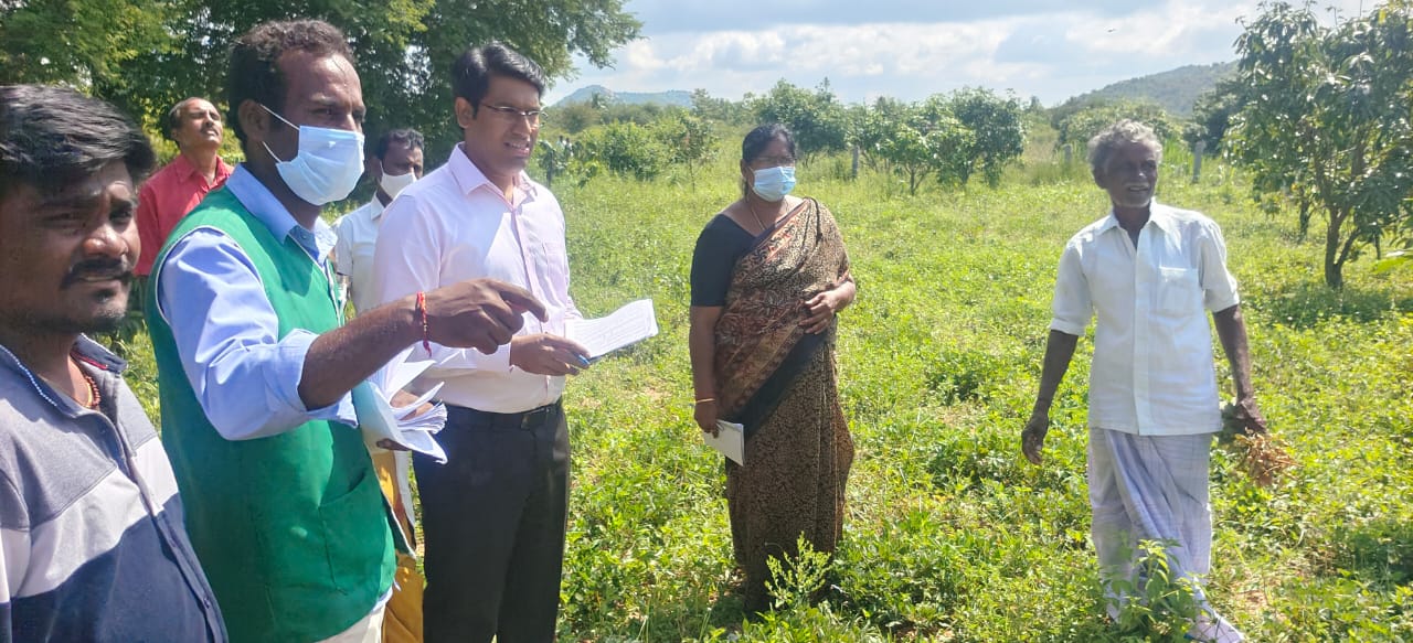 ఈ క్రాఫ్‌ నమోదును పరిశీలిస్తున్న జేసి