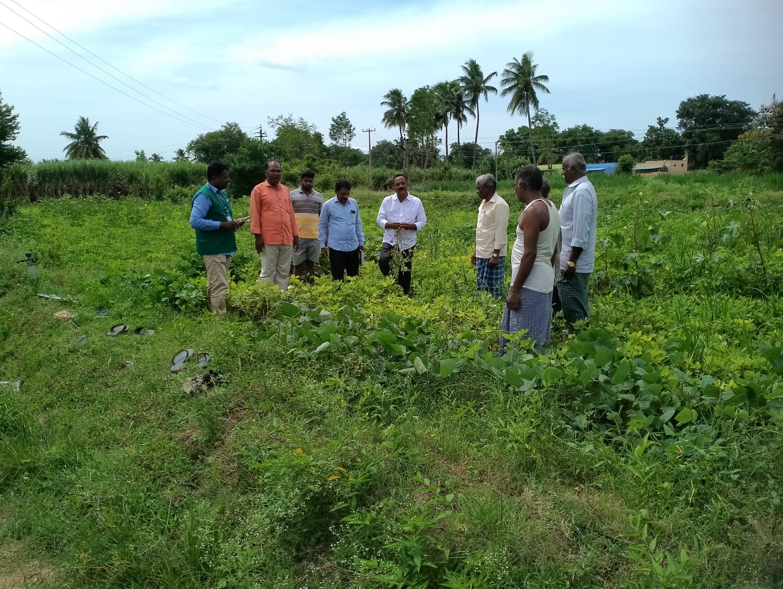 ఈక్రాస్‌ బుకింగ్‌లో వ్యవసాయ సహాయకులు