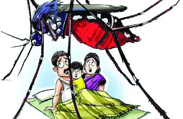 మురికివాడల్లో దోమల ఉధృతి