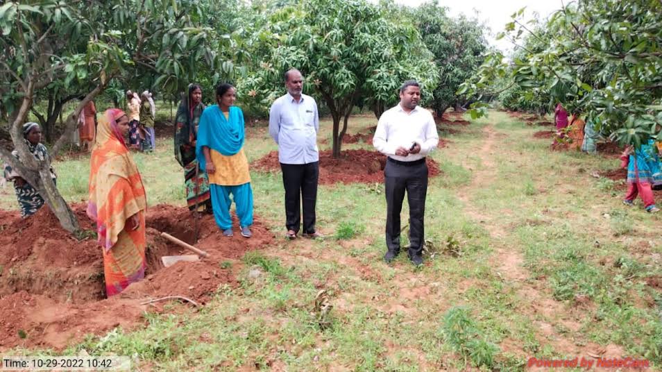 ఉపాధి పనులను పరిశీలిస్తున్న జిల్లా సంచాలకులు చంద్రశేఖర్‌