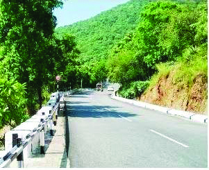 అలిపిరిలో యువకుల హల్‌చల్‌ ఎందుకు చేశారో అర్ధమయినా, అడవిలో మిస్సయిన ఆ ఇద్దరు యువకులకు సంబంధించిన సమాచారం మాత్రం తెలియలేదు. ఇప్పటికే రెండు రోజులయ్యింది. అక్టోపస్‌ దళాలతో బుధవారం రాత్రి నుంచి గురువారం మధ్యాహ్నం వరకూ శేషాచలం అటవీ ప్రాంతంలో గాలించారు. 