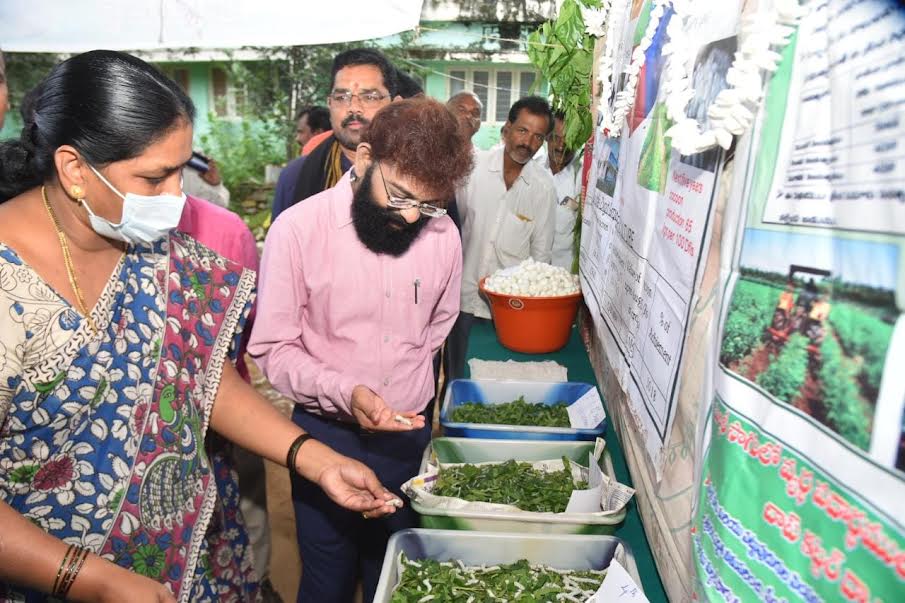 ప్రకృతి వ్యవసాయంపై మొగ్గుచూపాలి