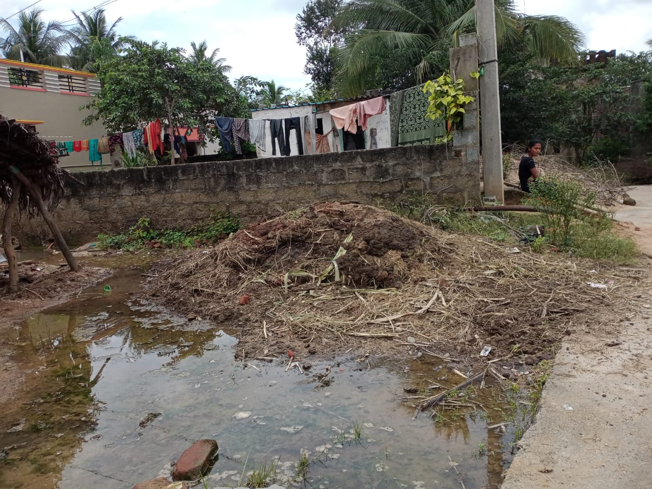 అంటువ్యాధుల విజృంభణ..! 