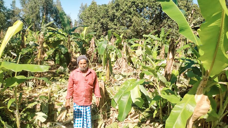 కొనసాగుతున్న గజ దాడులు