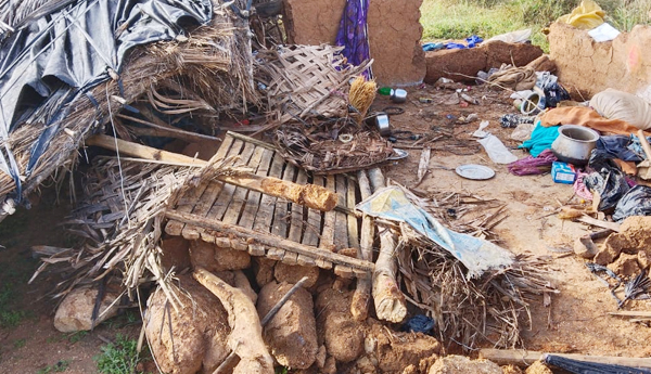 elephant-attack-on-village