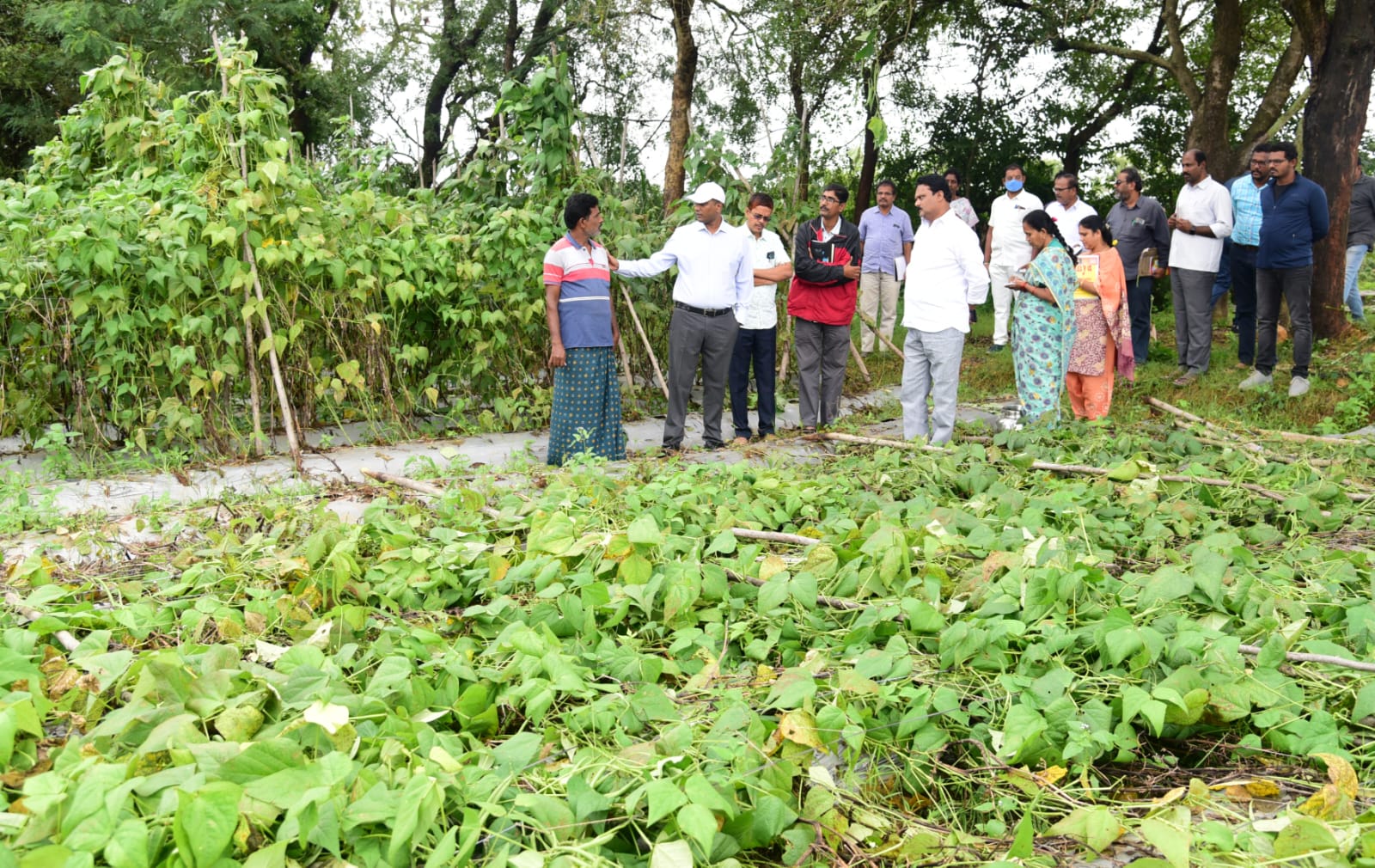 పంట నష్టాల అంచనాలు సిద్ధం