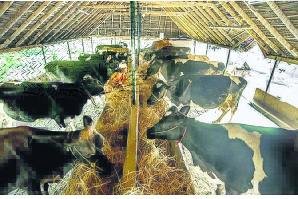 అందని మినీ గోకులాల బిల్లులు