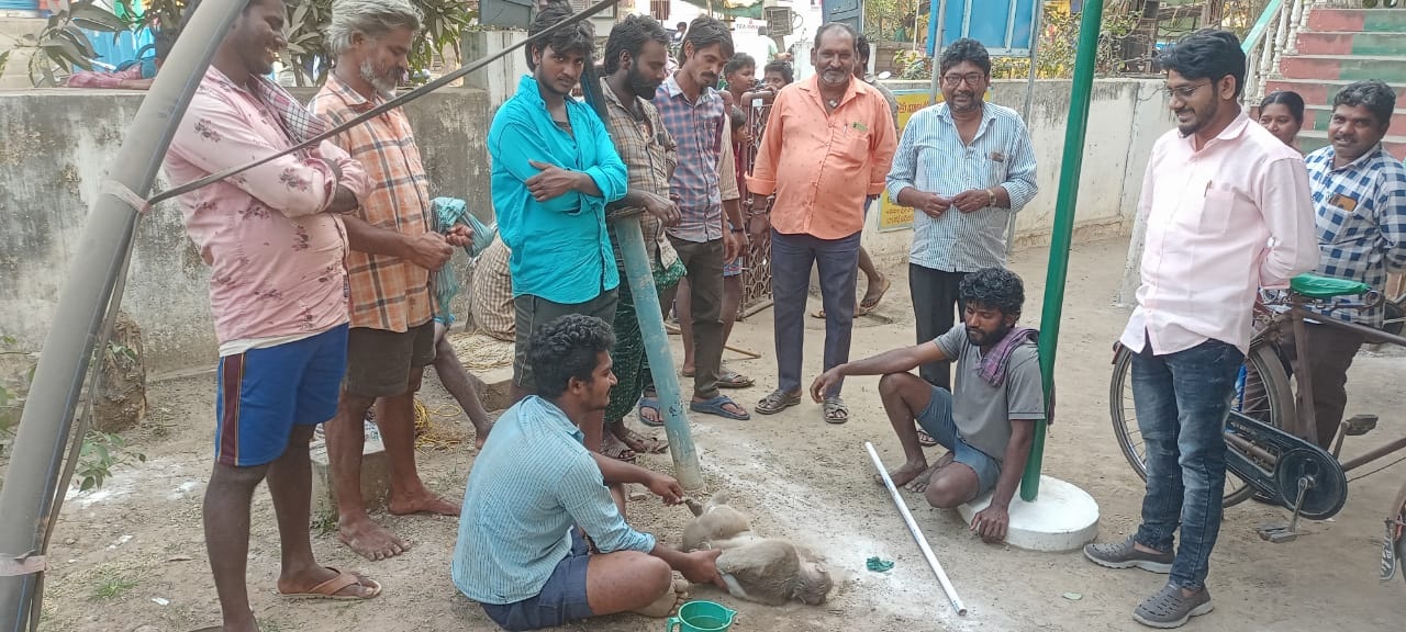 పలువురిని గాయపర్చిన కోతి