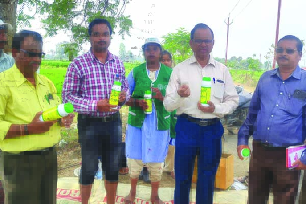 అధిక పురుగు మందులతో హాని