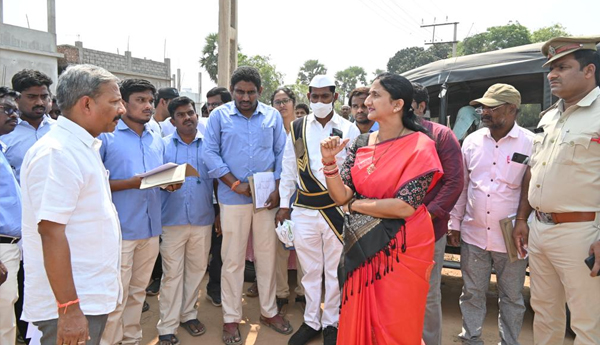 collector-review-on-house-construction