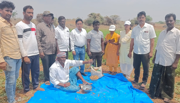 experiments-in-rabi-palli-crop-cut