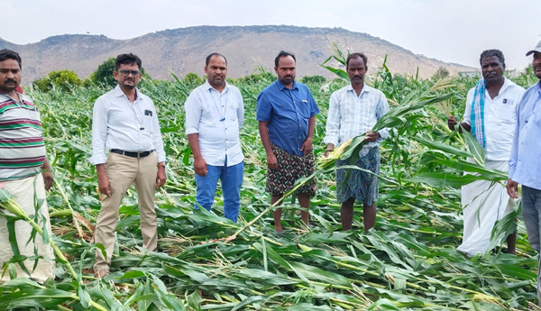 rain-damage-in-penukonda