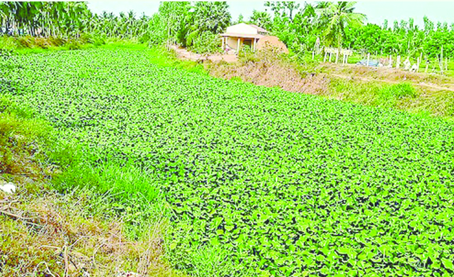 ఇరకాటంలో ఇరిగేషన్‌..!