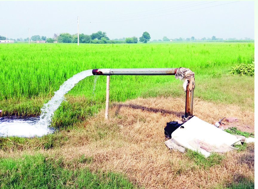 జల క(ళ)లే