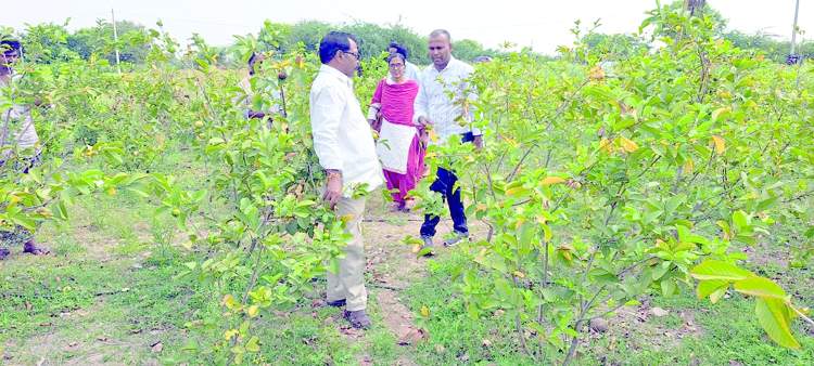  ఉపాధి పనులను పరిశీలిస్తున్న ట్రైనీ కలెక్టర్‌ ప్రశాంత్‌కుమార్‌, అసిస్టెంట్‌ కలెక్టర్‌ ఆర్‌.కృష్ణానాయక్‌