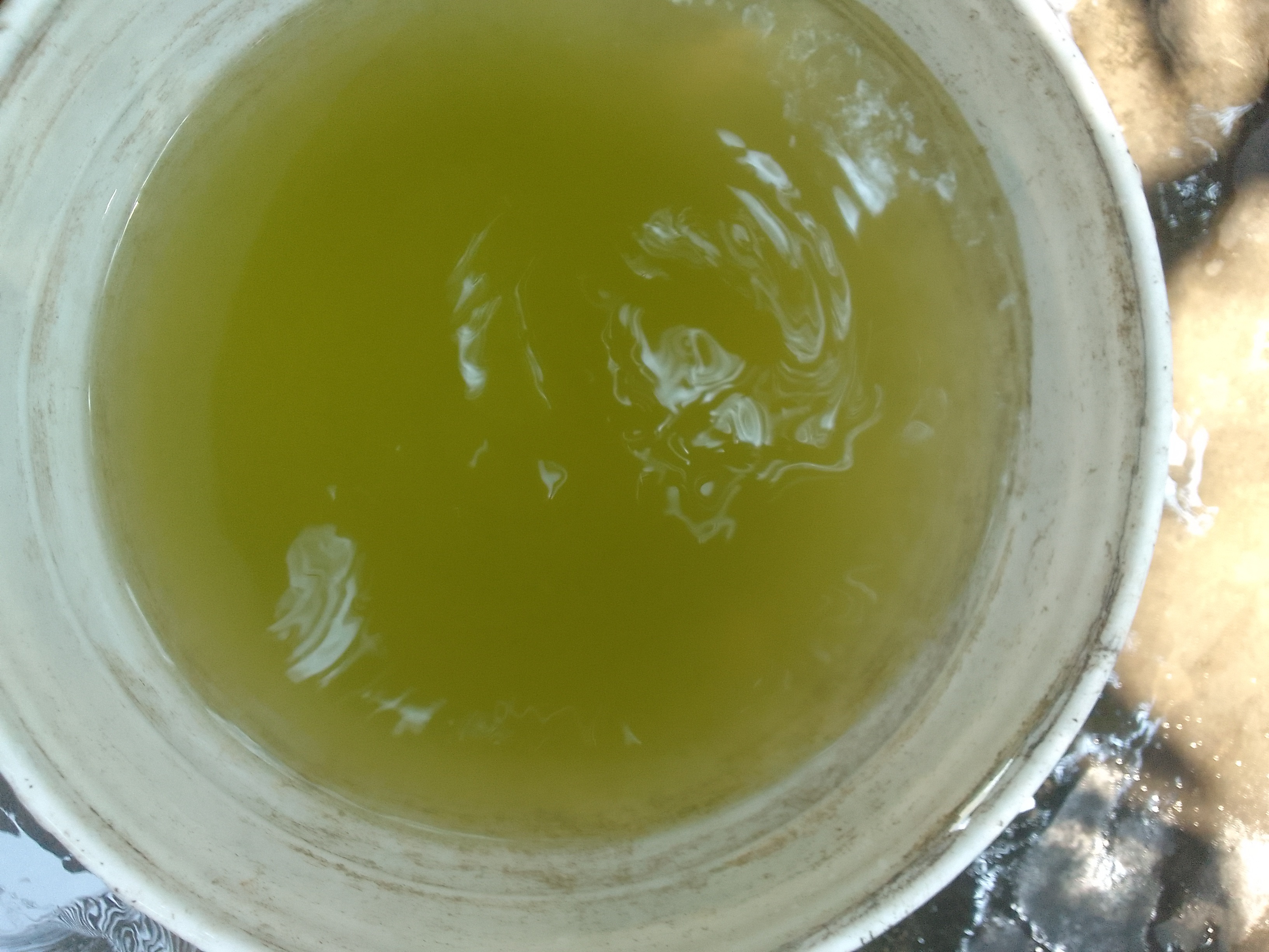 పసర్ల నీరే దిక్కు..!