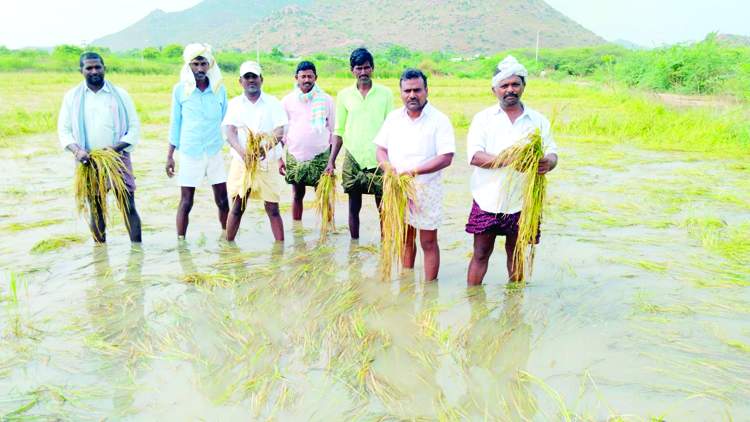 ఈదురుగాలులు..వర్ష బీభత్సం