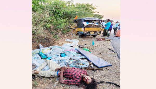 A-vehicle-collided-with-a-sheep-auto-1-dead-8-sheep-dead