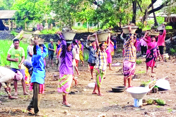 ఎన్‌ఐసితో అయోమయం