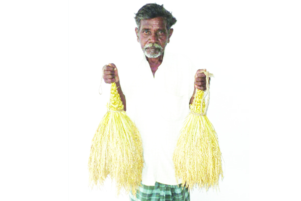 వరికుచ్చుల మహాలక్ష్మి ఇకలేరు