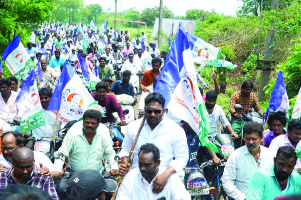 వైసిపి శ్రేణుల సంబరాలు