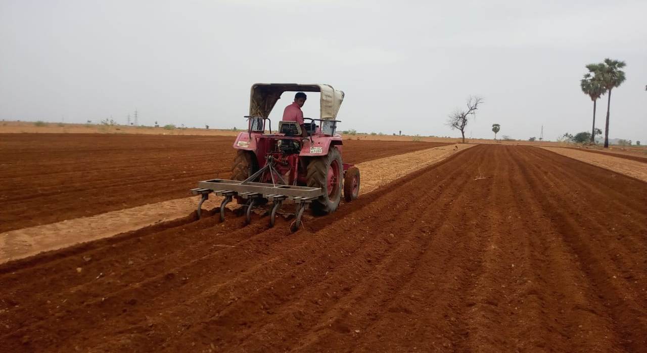 'విత్తు'కోసం వెతుకులాట.!