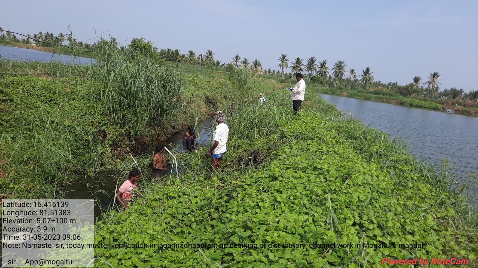 చురుగ్గా ఉపాధి పనులు