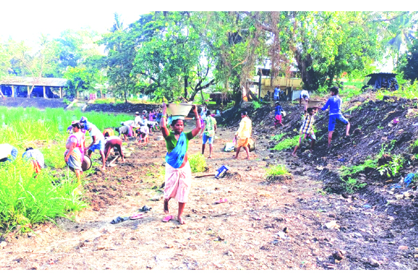 ఫీల్డ్‌ అసిస్టెంట్ల మెడపై కత్తి