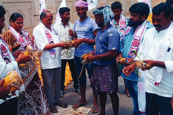 మొక్కజొన్న రైతులకు పరామర్శ