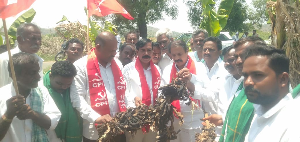 అకాల వర్షాలతో పంటదెబ్బతిన్న రైతులను ఆదుకోండి