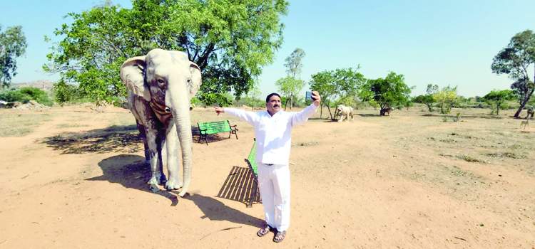    నగర వనం వద్ద సెల్ఫీ ఛాలెంజ్‌ విసురుతున్న మాజీ మంత్రి కాలవ శ్రీనివాసులు